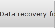 Data recovery for Mauldin data
